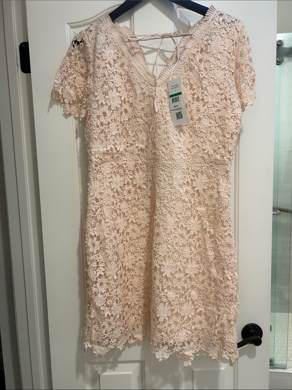 Floral Lace V-Neck Short Sleeve Dress in Light Blush